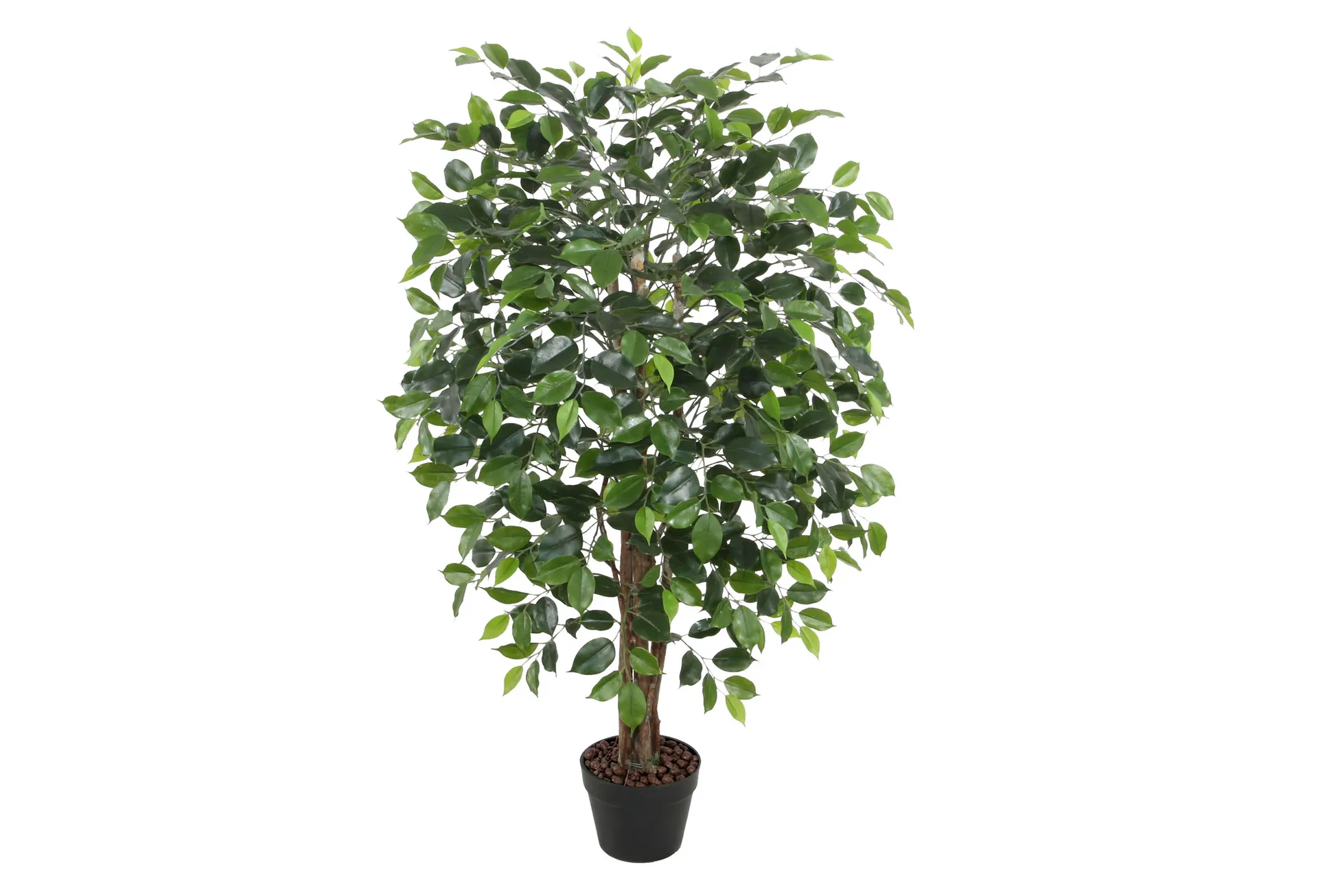 Grön Växt Ficus H120 cm 1 Gren Svart Kruka - Inredning | Chilli
